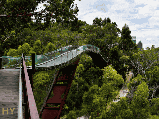 Kings Park & Botanic Garden near HYROX Perth